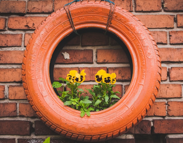 Cuidado de tu Jardín: Consejos Prácticos para Mantener un Espacio Verde y Encantador Cuidado de tu Jardín: Consejos Prácticos para Mantener un Espacio Verde y Encantador